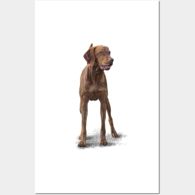 The Hungarian Vizsla Wall Art by Elspeth Rose Design